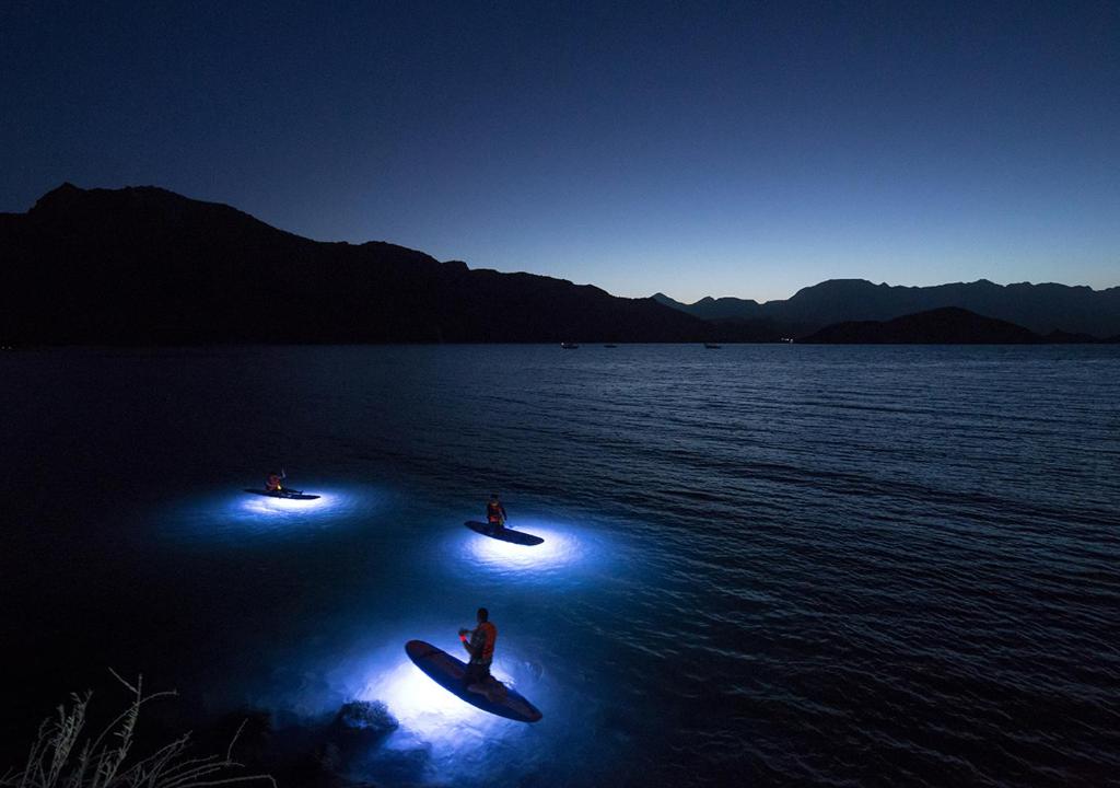 Sports and activities