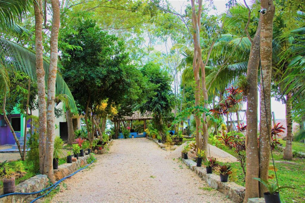 Surrounding environment