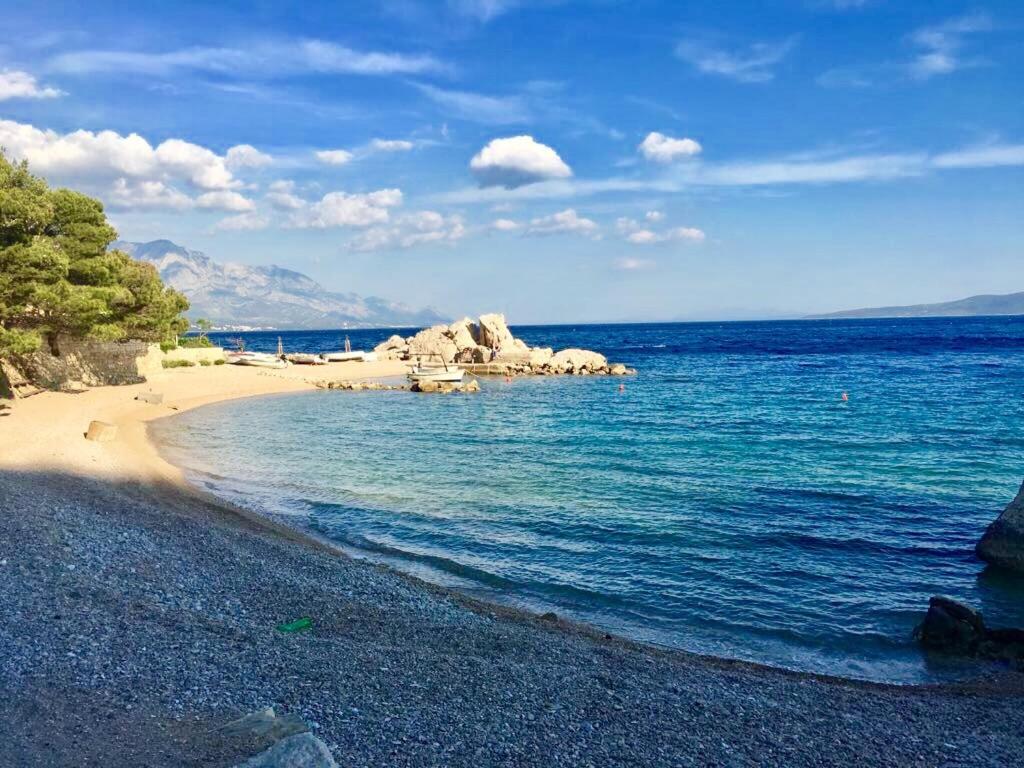 Apartment Martinovic, Mimice