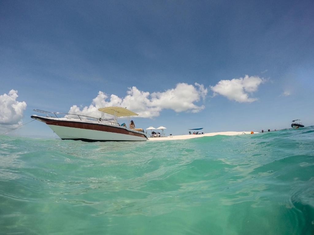 Programlehetőségek