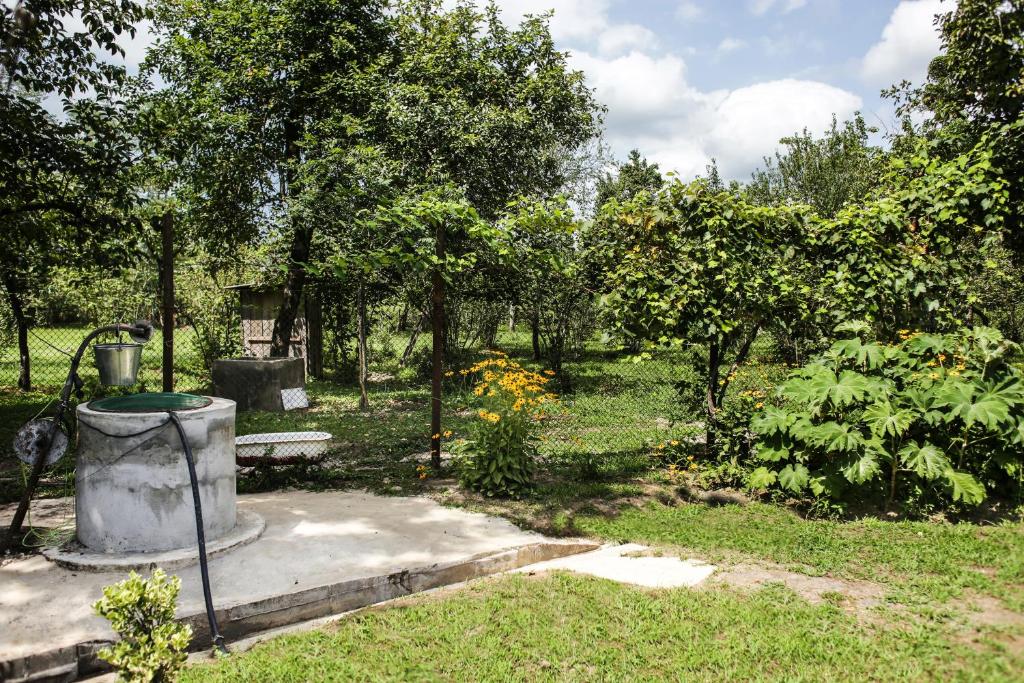 Daraselia61 photo