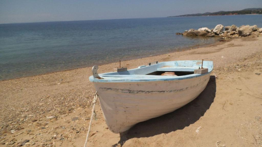 Finikas Garden Beach Resort Nikiti photo