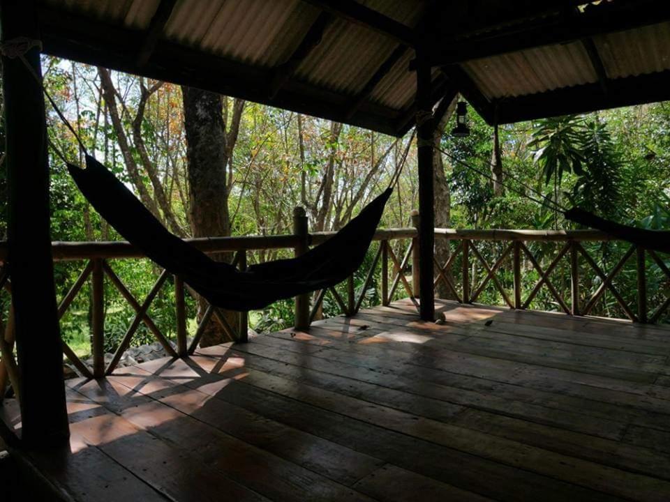 Dugong Koh Sukorn