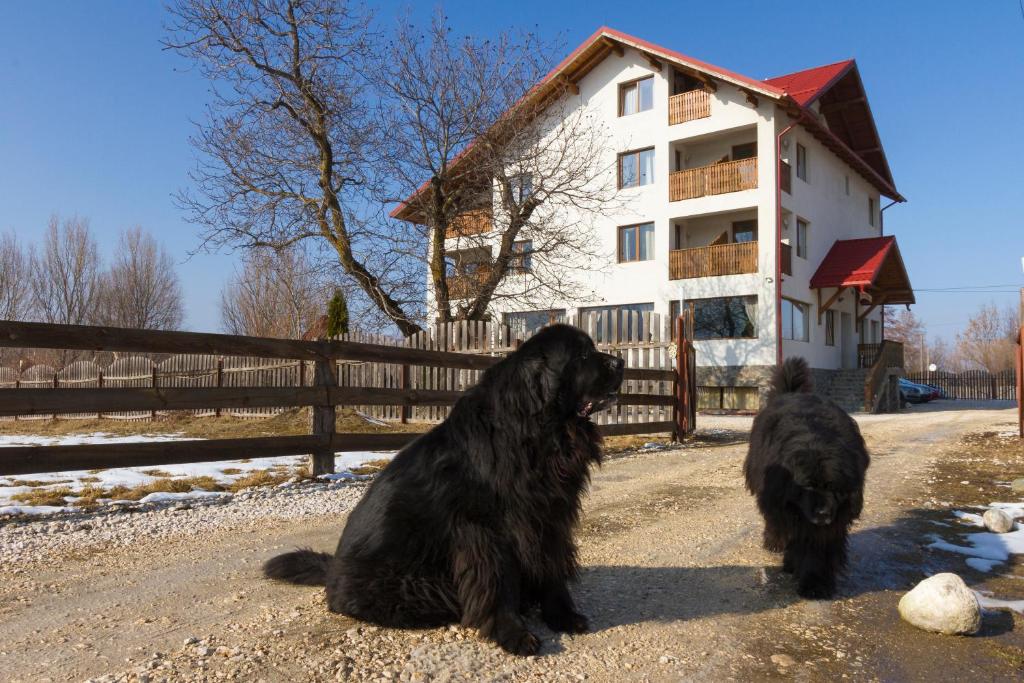 Pensiunea Aron 2 — Hotel in Bran
