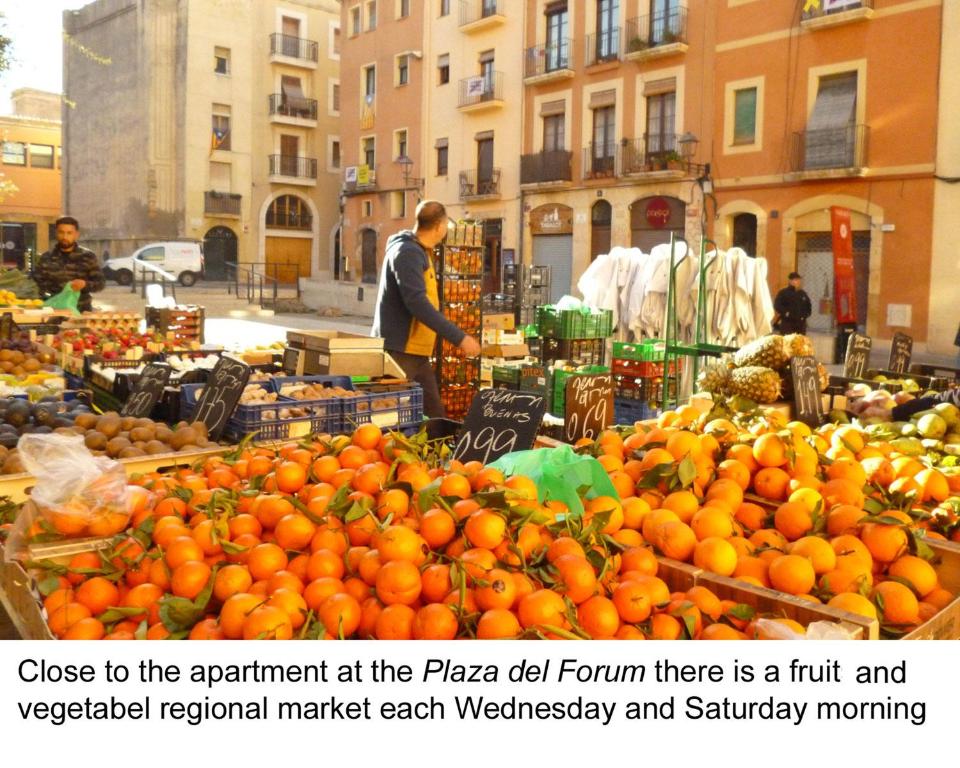 Homing Tarragona Forum 11 - 2