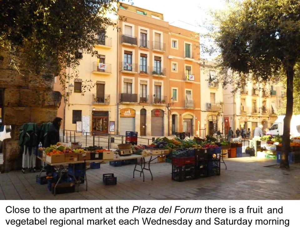 Homing Tarragona Forum 11 - 3