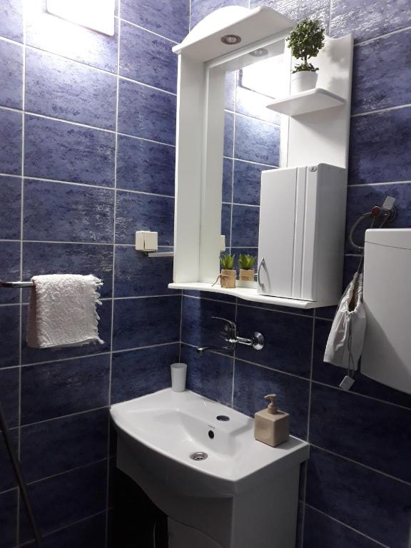 Apartment Vukasevic photo