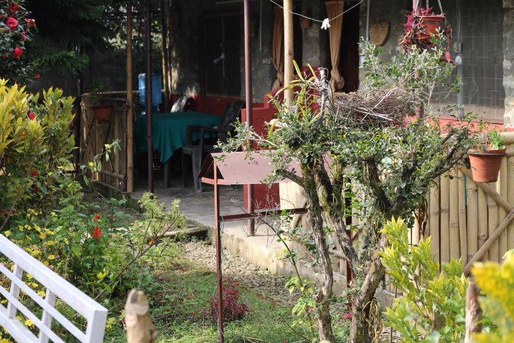 Gurkha Lodge photo