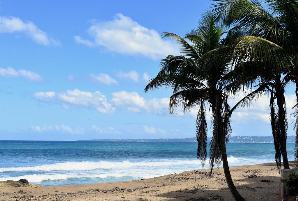 The Beach Pad photo