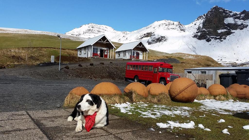 Norður-Vik photo