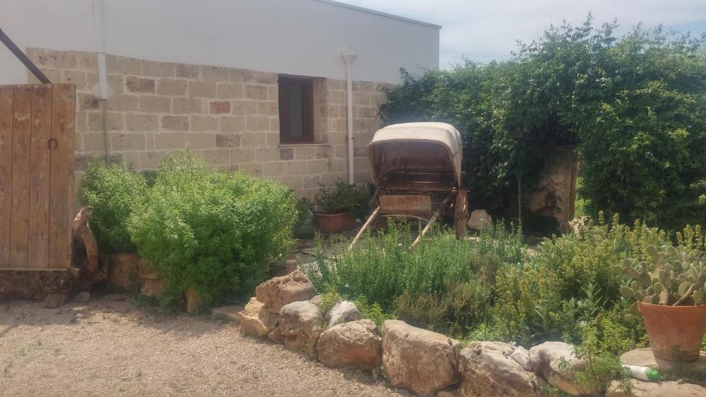 Masseria Fachechi - 2