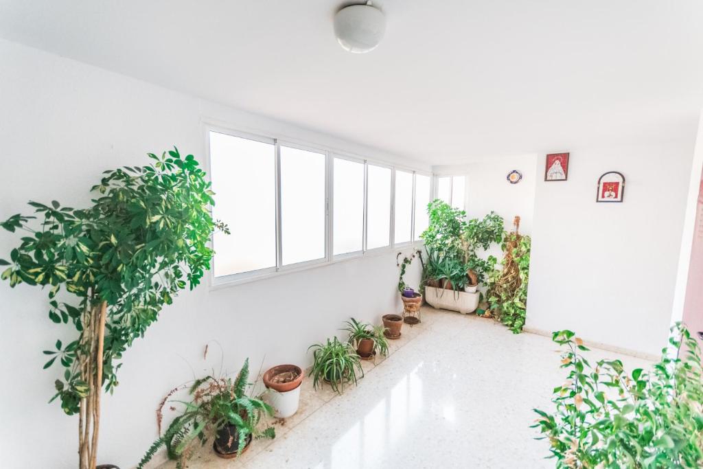 Cubo's Apartamento Origen del Sur & Free Parking photo