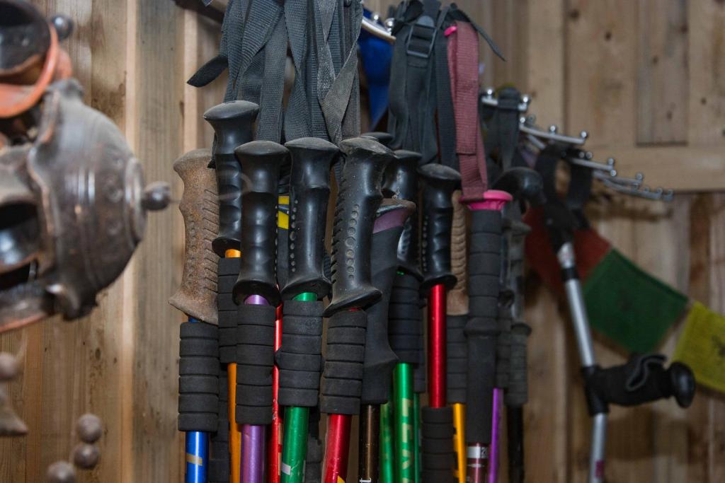 アクティビティ