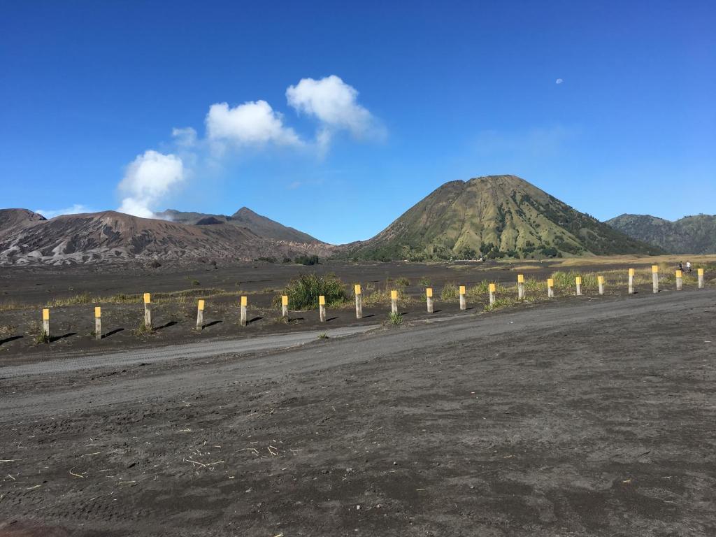 Bromo Deddy Homestay photo