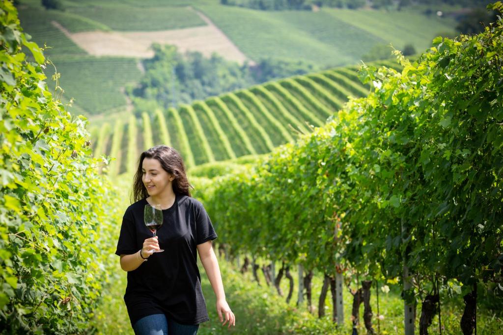 Tenuta Baràc - 3