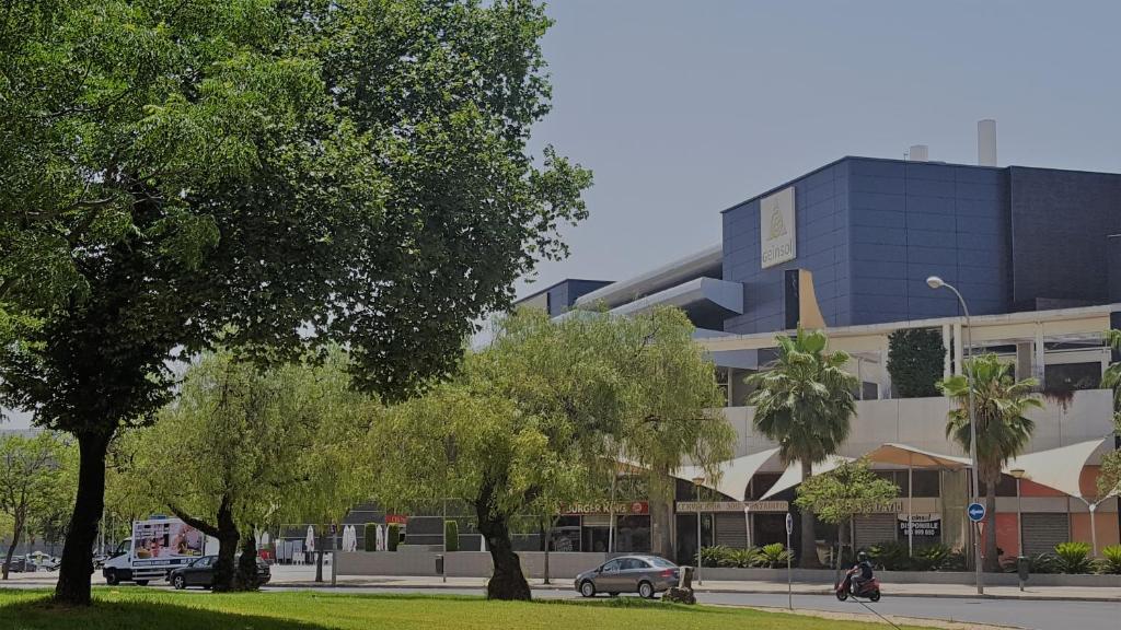 Apartamento frente a Palacio de Congresos (Fibes) - 4