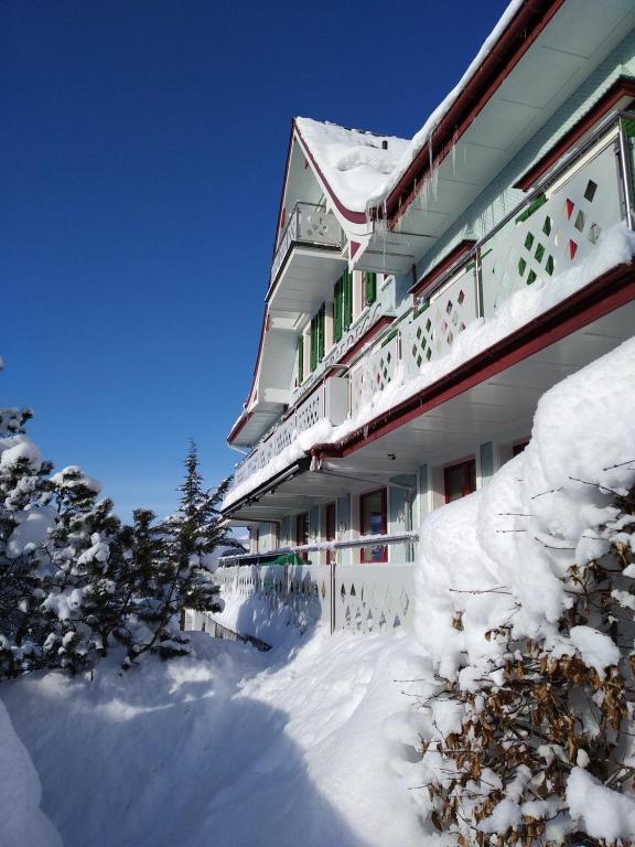 Gasthaus Friedegg photo