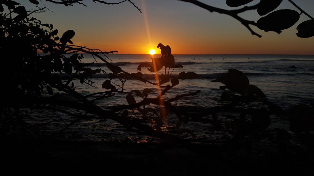 Verdad Nicaragua photo
