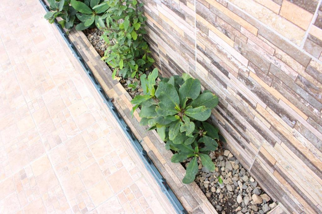 Elisa Furnished Apartments (Puerto Plata City) photo