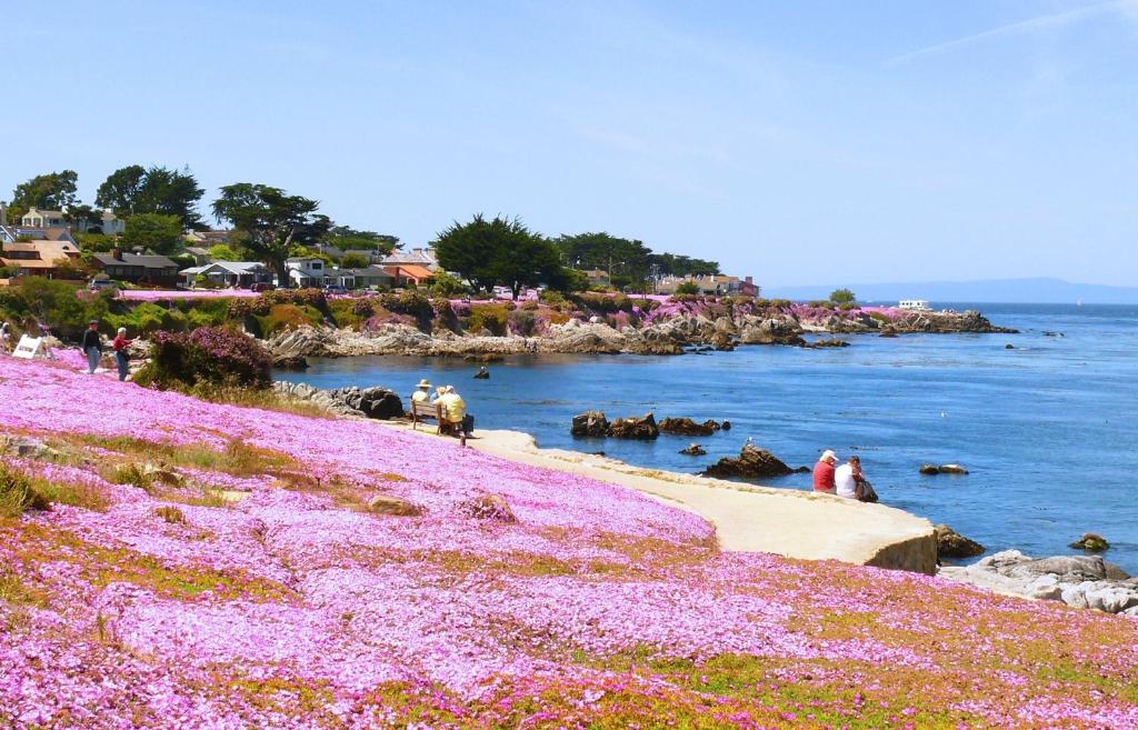 Monterey Peninsula Inn photo