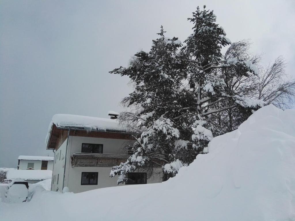 Landhaus Loipe - 2