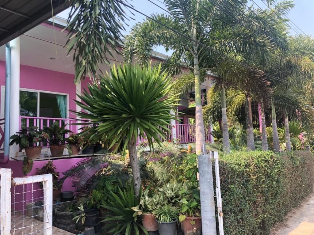 Bann Pa Su (บ้านป้าสุ) photo