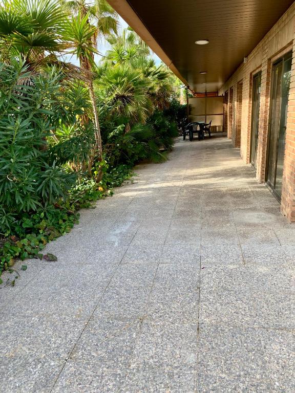 APARTAMENTO - WIFI FREE - FRENTE AL MAR - 3