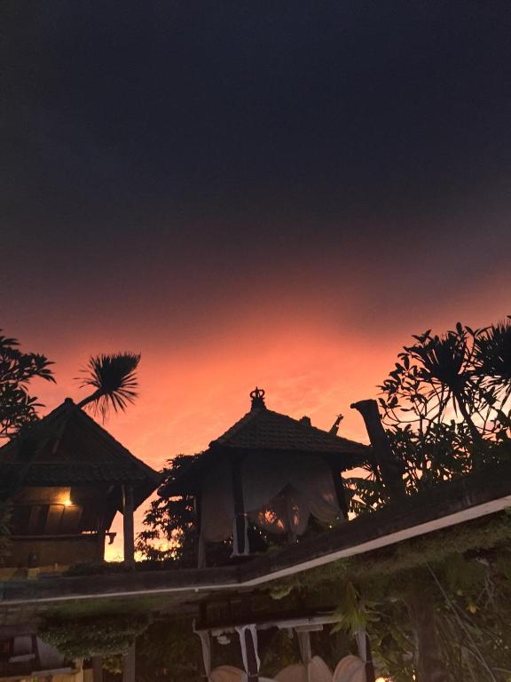 Mangga Wangga Living Mangga Wangga Living