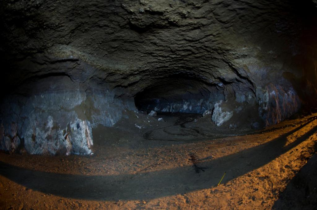 Programlehetőségek