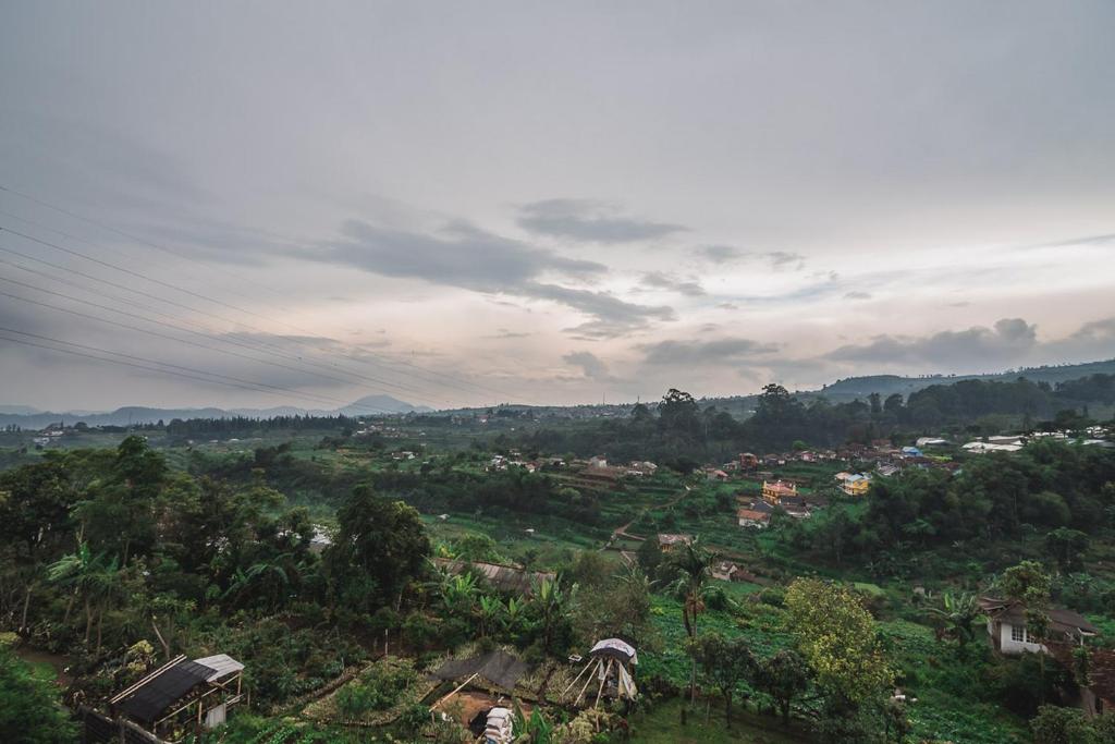 Surrounding environment