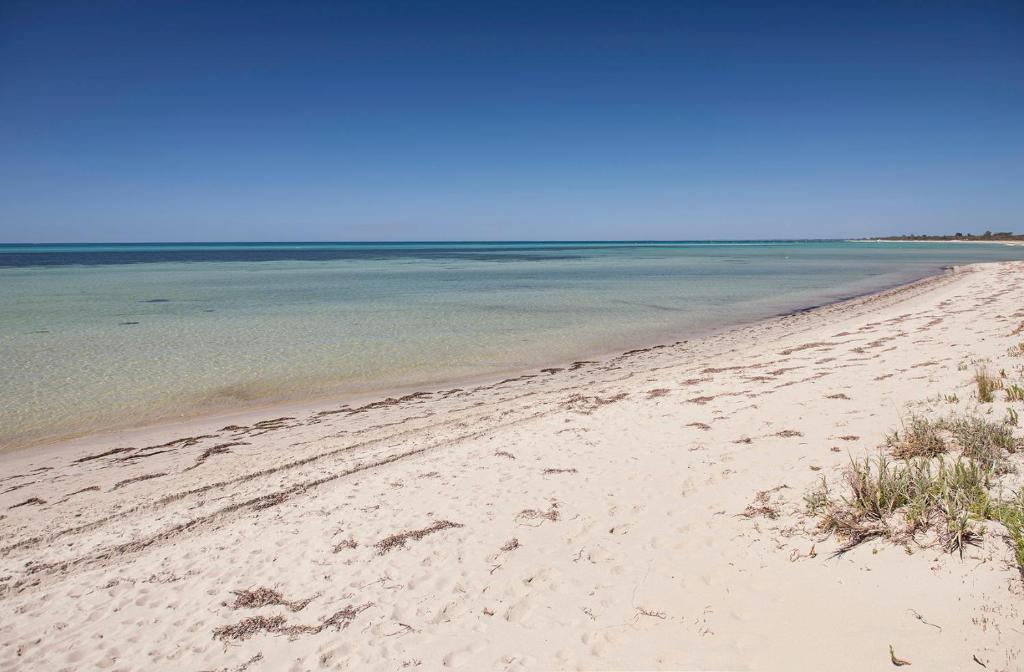 Boardwalk, Quindalup