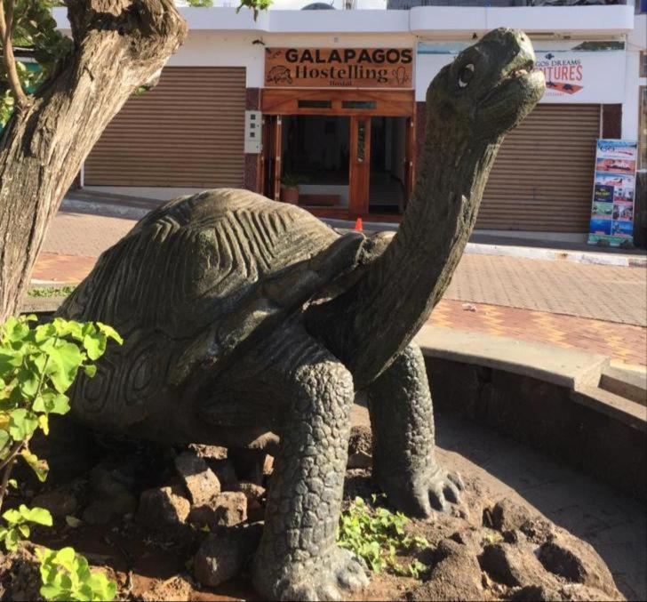 New Galapagos Hostelling - 1