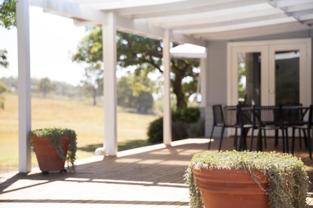 Audrey Wilkinson Vineyard photo