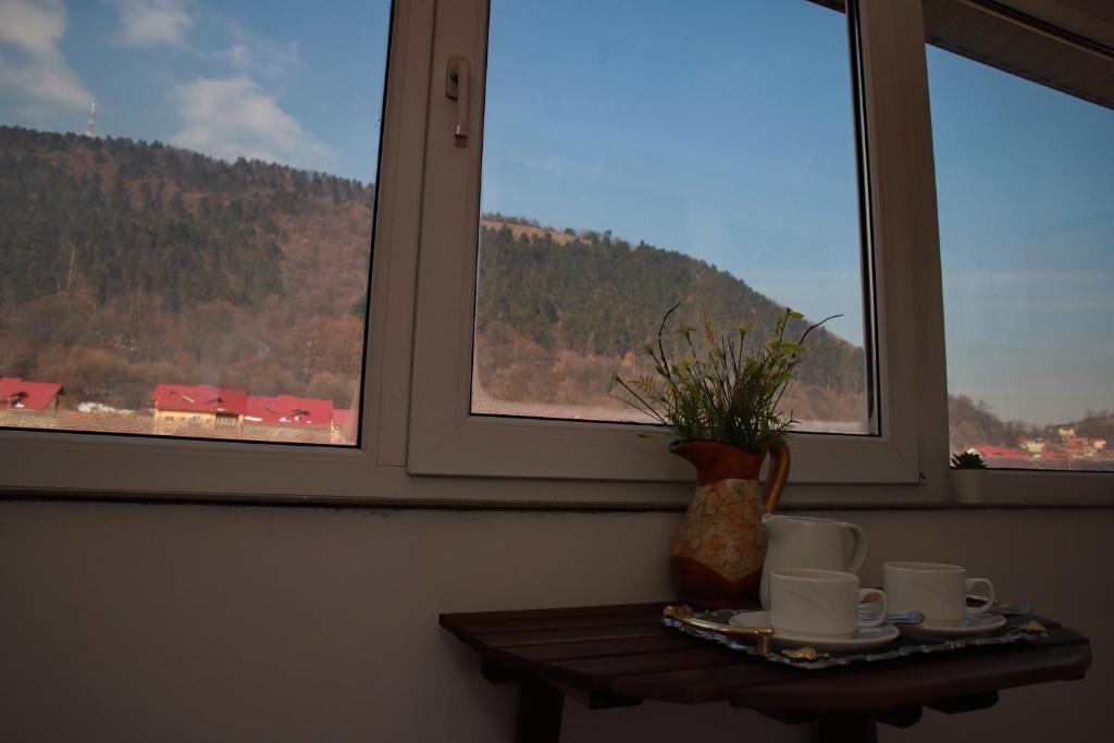 Cozy Apartment in Brasov 전경