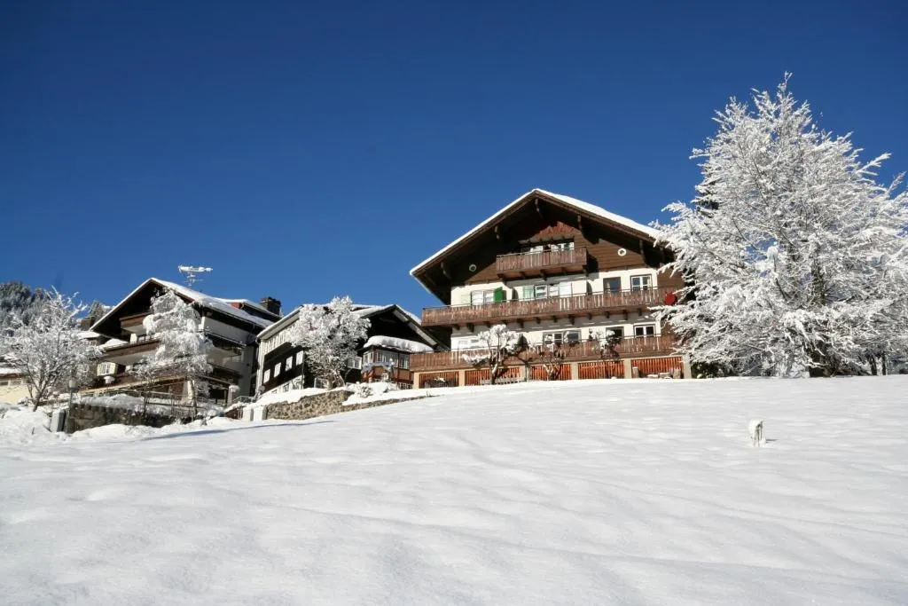Hotel Adler Garni, hotel in Hirschegg