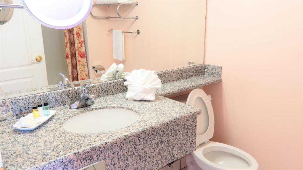 Crystal Star Inn Edmonton Airport with free shuttle to and from Airport photo