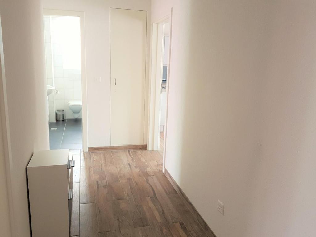 Family friendly Apartment in the heart of Interlaken photo