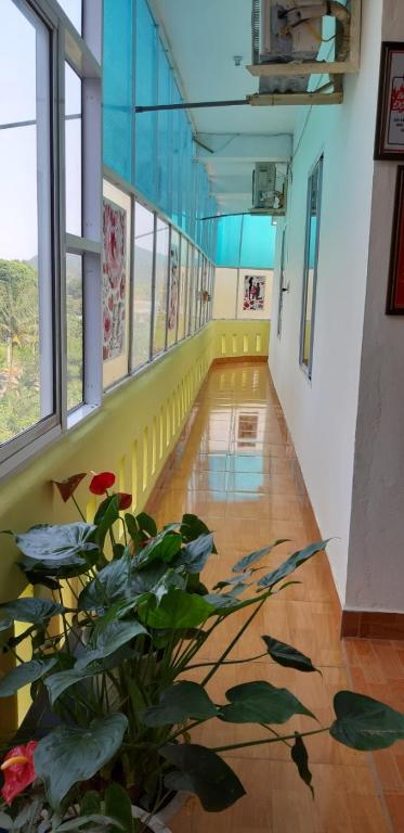 Hai Dang Hotel 호텔 이미지 2