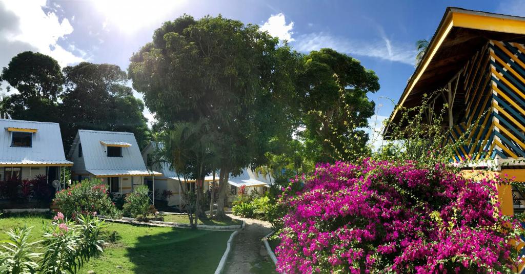 Cabanas Agua Dulce｜クチコミあり プロヴィデンシア