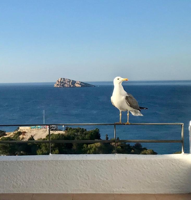 Duplex Villamarina - 5