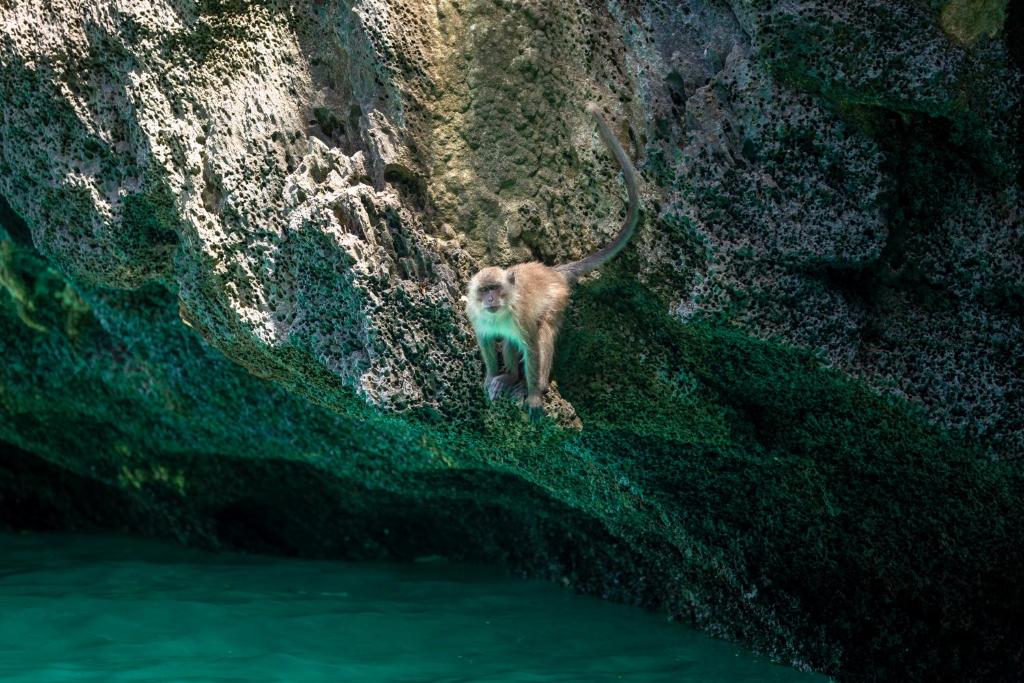 สภาพแวดล้อมโดยรอบ