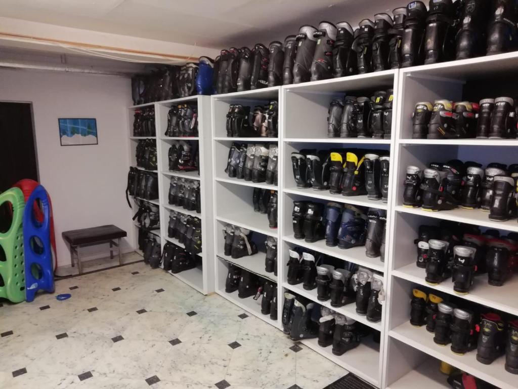 Sports and activities