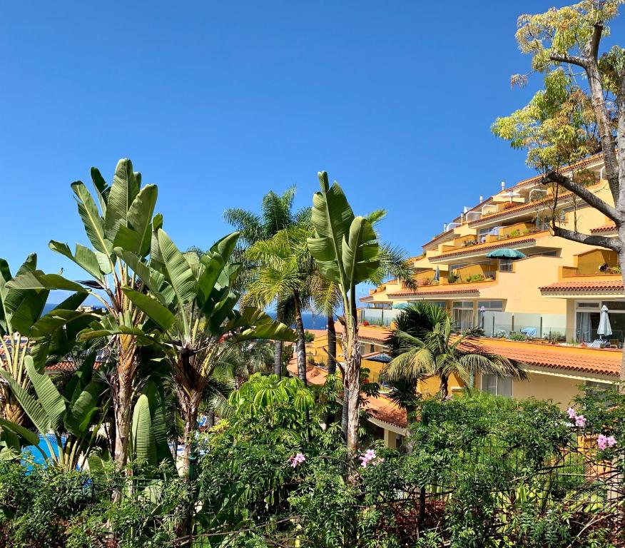 Apartamentos Tigaiga Suites — Hotel building in Puerto de la Cruz, Canary Islands