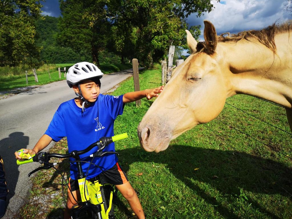 Americana Inn & Suites Photo 17