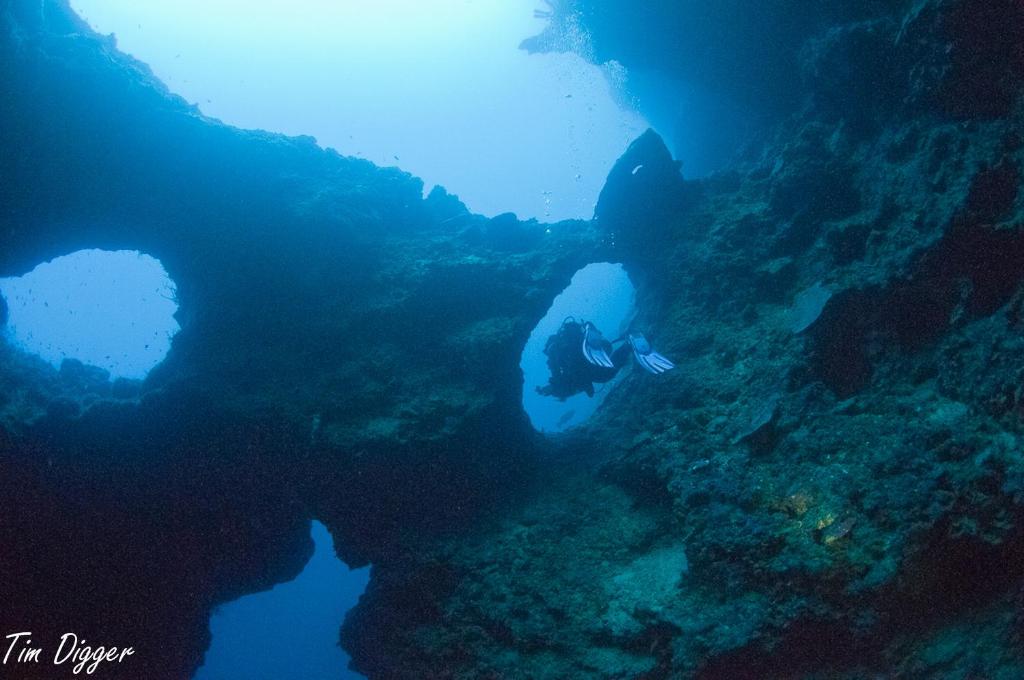 Surrounding environment