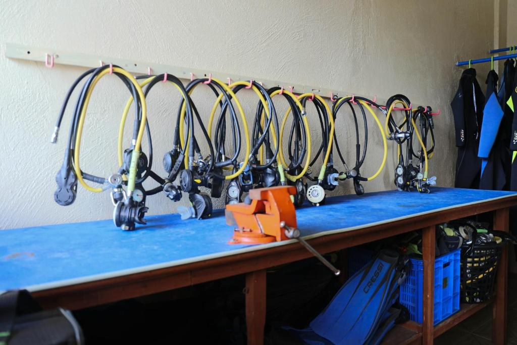 Sports and activities