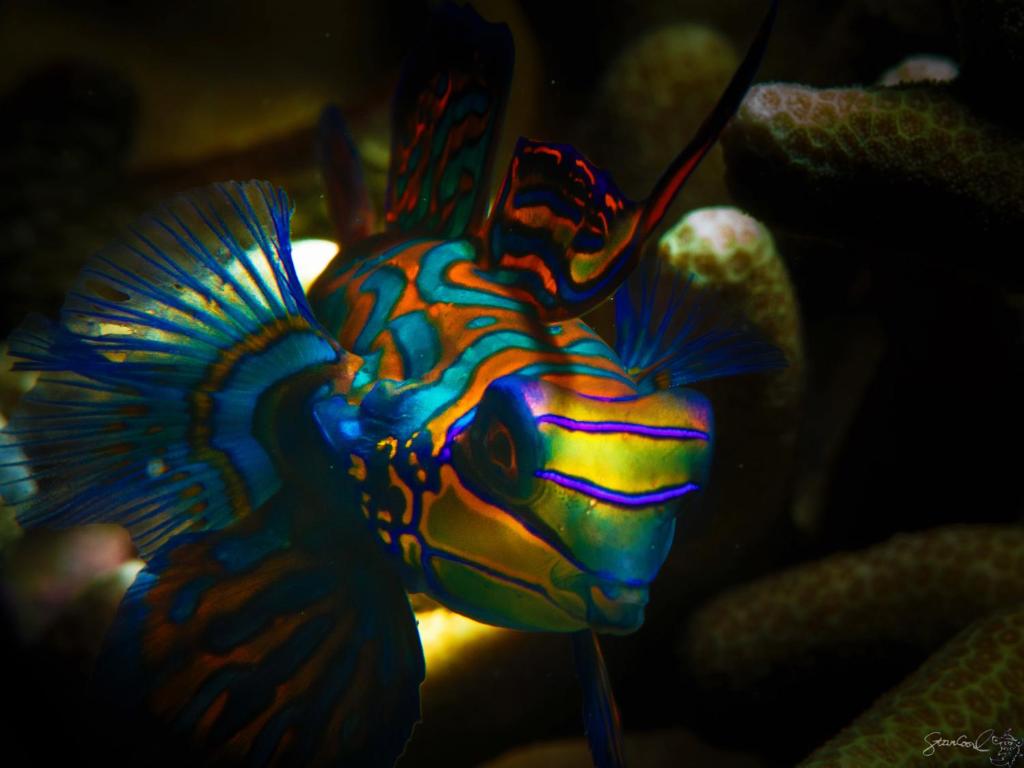 Sports and activities