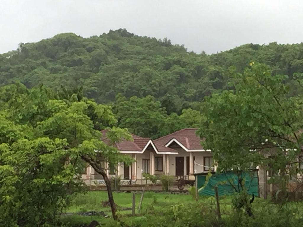 Windchime Cottages photo