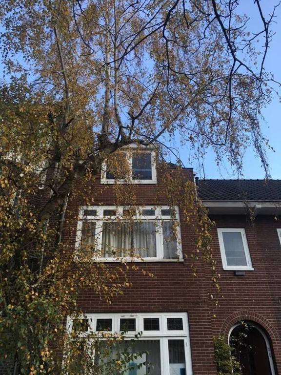 Etage voor 1-3 pers in Nijmegen-centrum — Hotel in Nijmegen