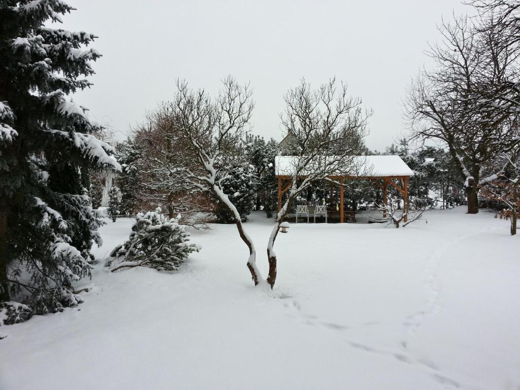 Garden, Penzion Sport in Trebon